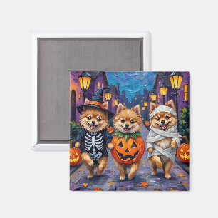 Imán Pomerania haciendo 'trick-or-treat' con disfraces 