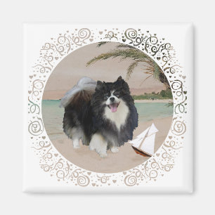 Imán Pomerania negra con velero