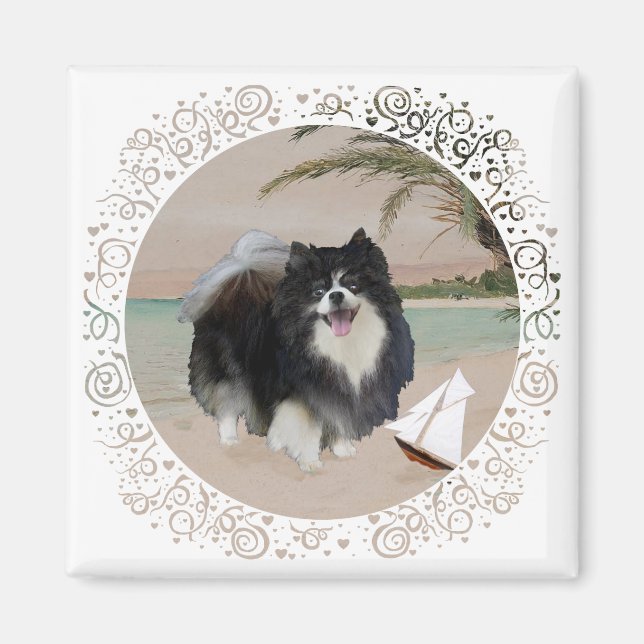 Imán Pomerania negra con velero (Frente)