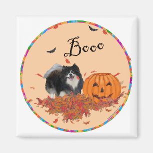 Imán Pomerania negra Halloween