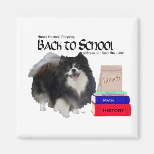 Imán Pomerania Negra Regreso a Clases