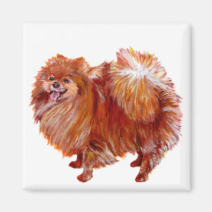 Imán Pomerania Roja