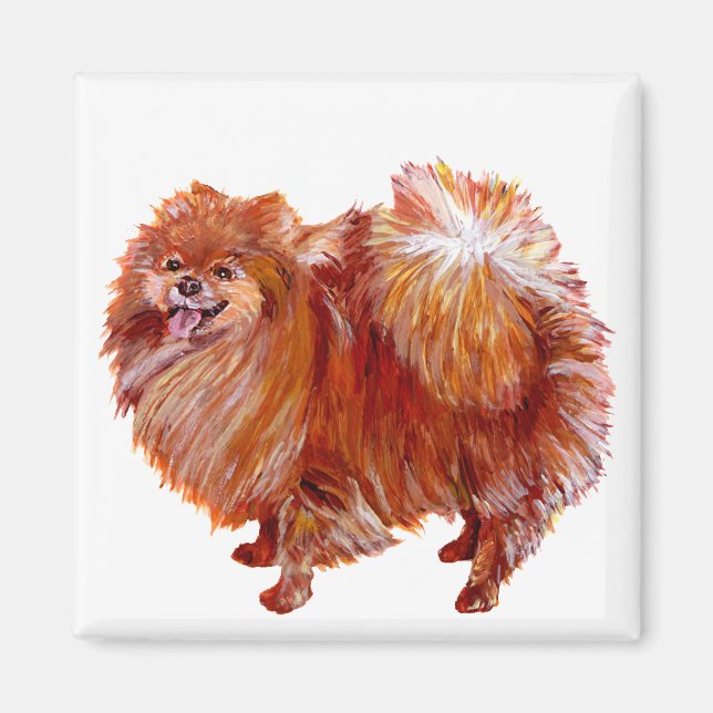 Imán Pomerania Roja (Frente)