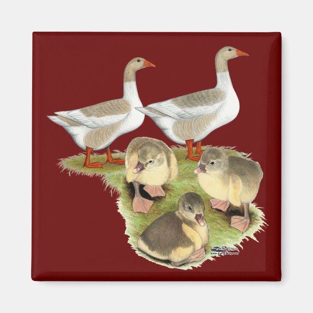 Imán Pomeranian Goose Family (Frente)