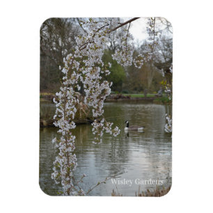 Imán Pond at RHS Wisley, Inglaterra