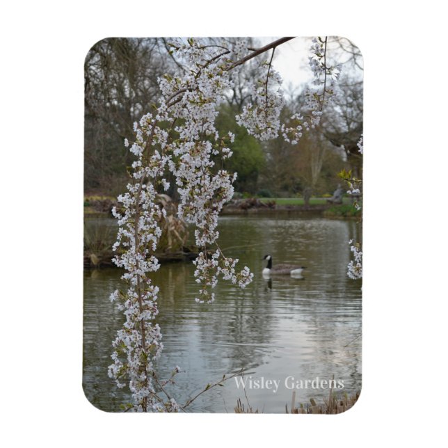 Imán Pond at RHS Wisley, Inglaterra (Vertical)