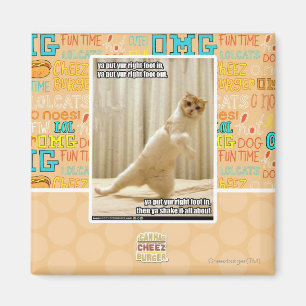 Imán Pones tu pie derecho, pones tu pie derecho