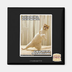 Imán Pones tu pie derecho, pones tu pie derecho