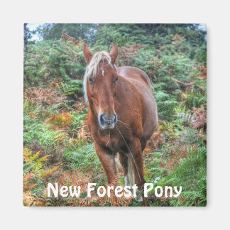 Imán Pony & Bracken del nuevo bosque de Palomino silves