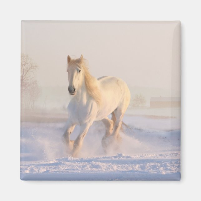 Imán Pony de la granja ecuestre occidental Lover (Frente)