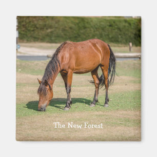 Imán Pony de nuevos bosques