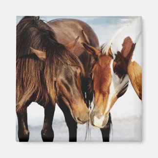 Imán Pony Love