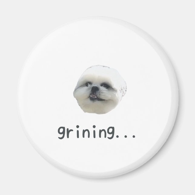 Imán PONZU magnet (Frente)