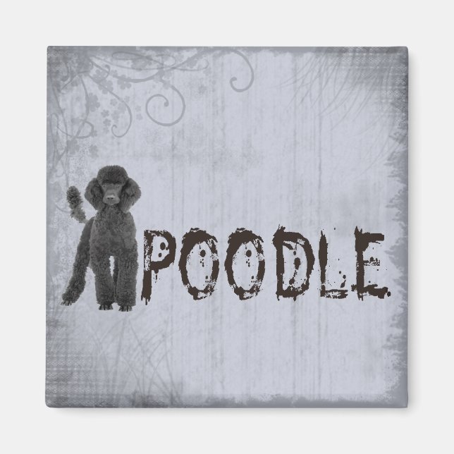 Imán Poodle (Frente)