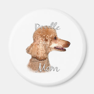 Imán Poodle (albaricoque) Mamá 2