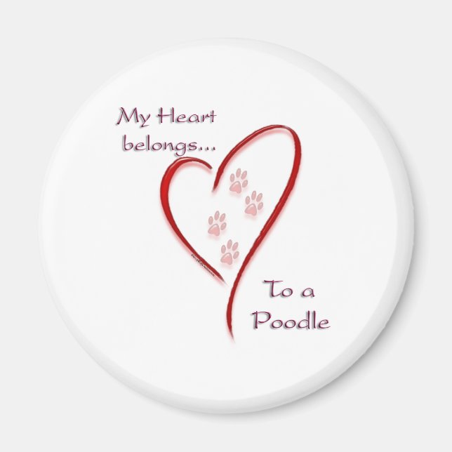 Imán Poodle Heart Pertenece (Frente)