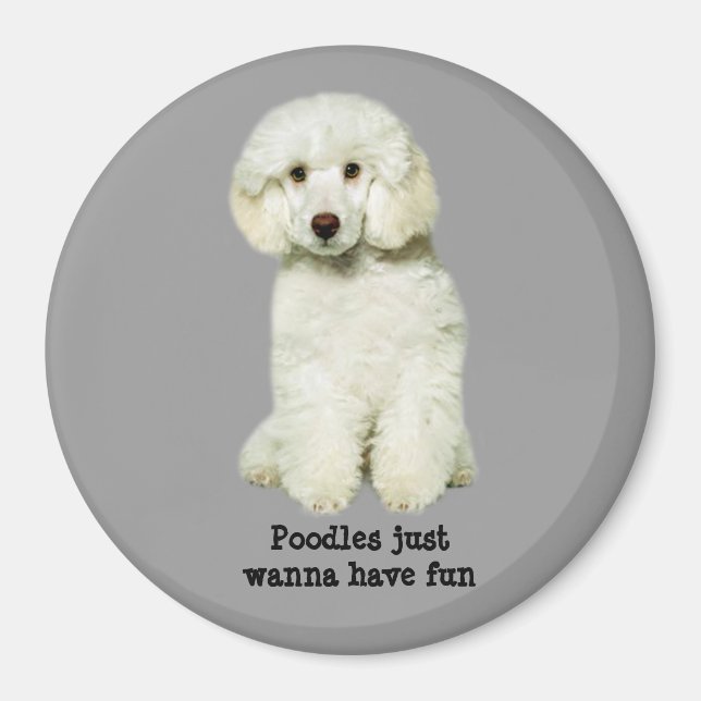 Imán Poodle Magnet (Frente)