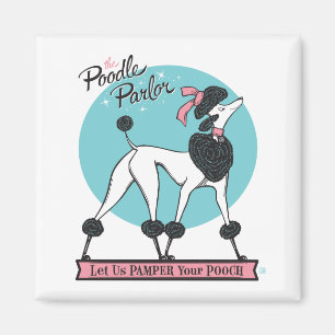 Imán Poodle Parlor