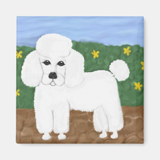 Imán Poodle pintado