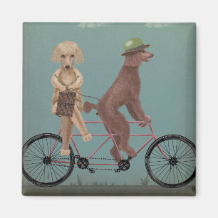 Imán Poodle Tandem