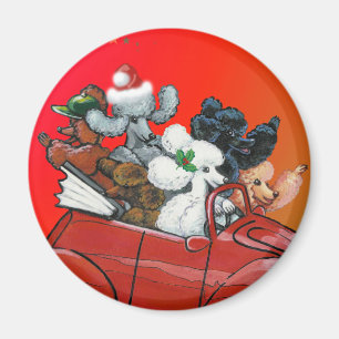 Imán Poodles en Navidades convertibles rojos