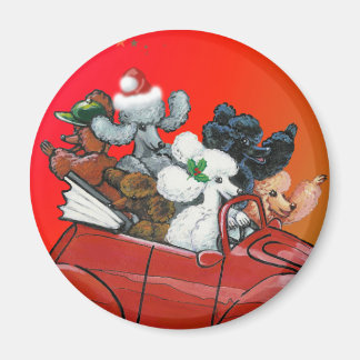 Imán Poodles en Navidades convertibles rojos