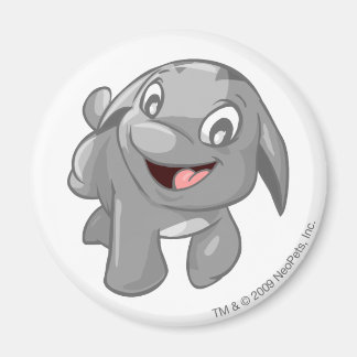 Imán Poogle Silver
