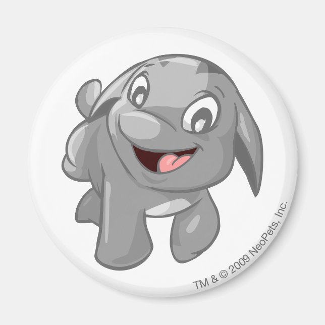 Imán Poogle Silver (Frente)