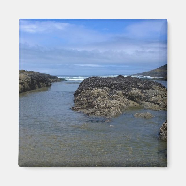 Imán Pools de marea en Bob Creek, OR (Frente)