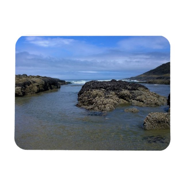 Imán Pools de marea en Bob Creek, OR (Horizontal)