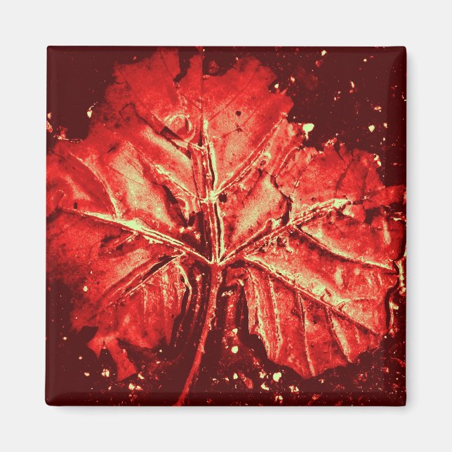 Imán Pop Art Autumn Leaf Magnet (Frente)