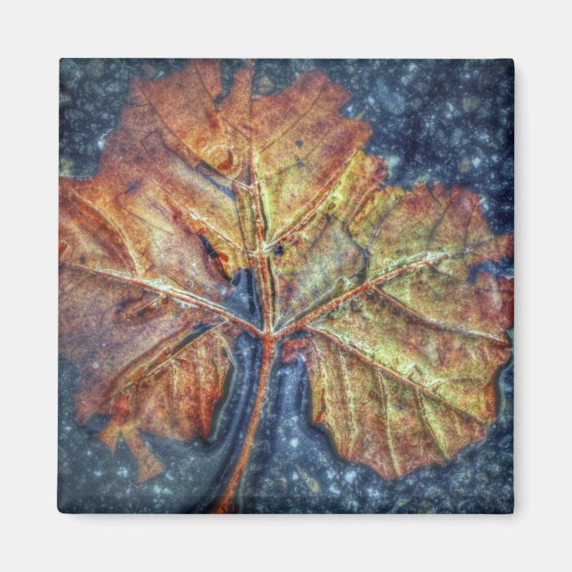 Imán Pop Art Autumn Leaf Magnet (Frente)