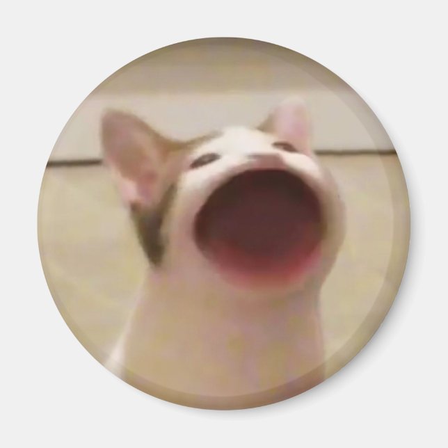 Imán Pop Cat Magnet (Frente)