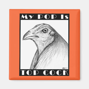 Imán Pop es el mejor cocodrilo