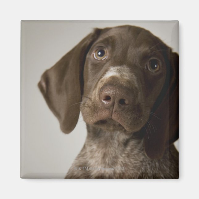 Imán Popa de caza de breves de Alemania (Frente)