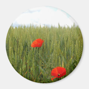 Imán Poppies in a Wheat Field Large Round Magnet