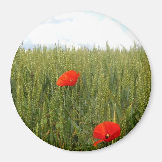 Imán Poppies in a Wheat Field Large Round Magnet (Frente)
