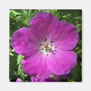Imán Poppin Pink