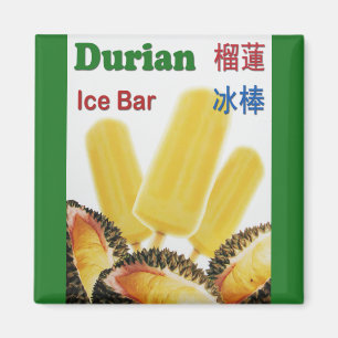 Imán Popsicle de la fruta tropical de la barra del