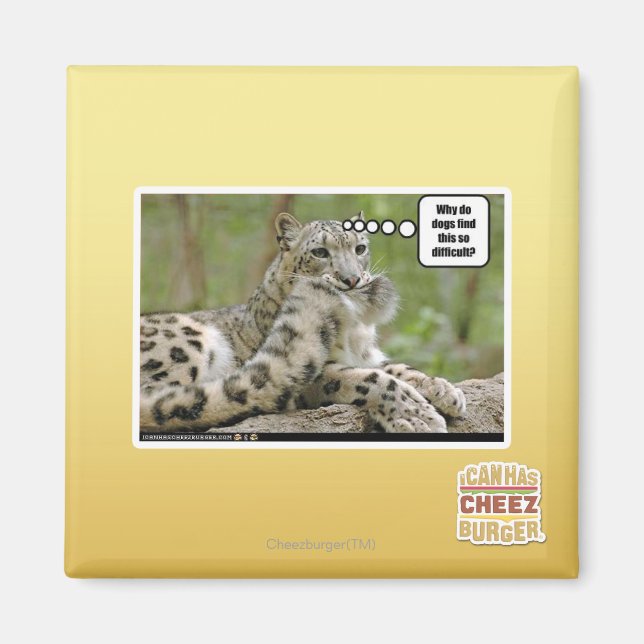 Imán ¿Por qué a los perros les resulta tan difícil? (Frente)