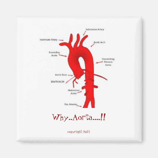 Imán Por qué... Aorta...¡¡¡¡¡¡¡¡¡¡¡¡¡¡¡¡¡¡¡¡¡¡¡¡!!!! im (Frente)