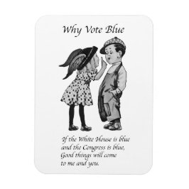 Imán Por qué votar totalmente azul en 2028