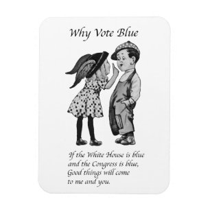 Imán Por qué votar totalmente azul en 2028