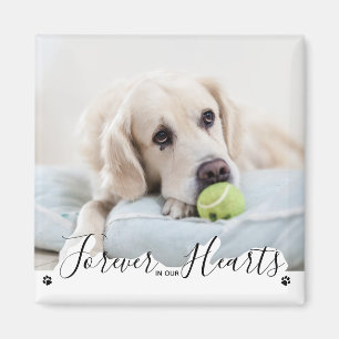 Imán Por siempre en nuestro monumento al Mascota de Per