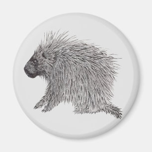 Imán Porcupina