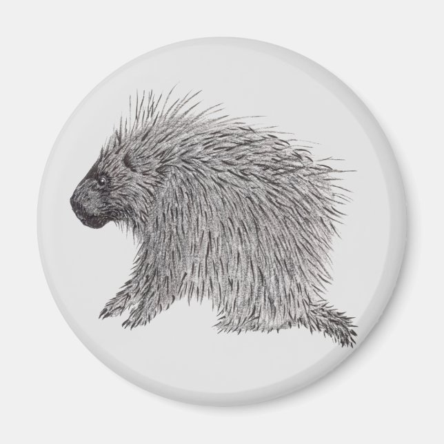 Imán Porcupina (Frente)
