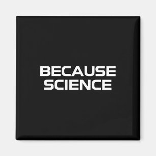 Imán Porque Ciencia Hombres Mujeres Niños Naturaleza Ma