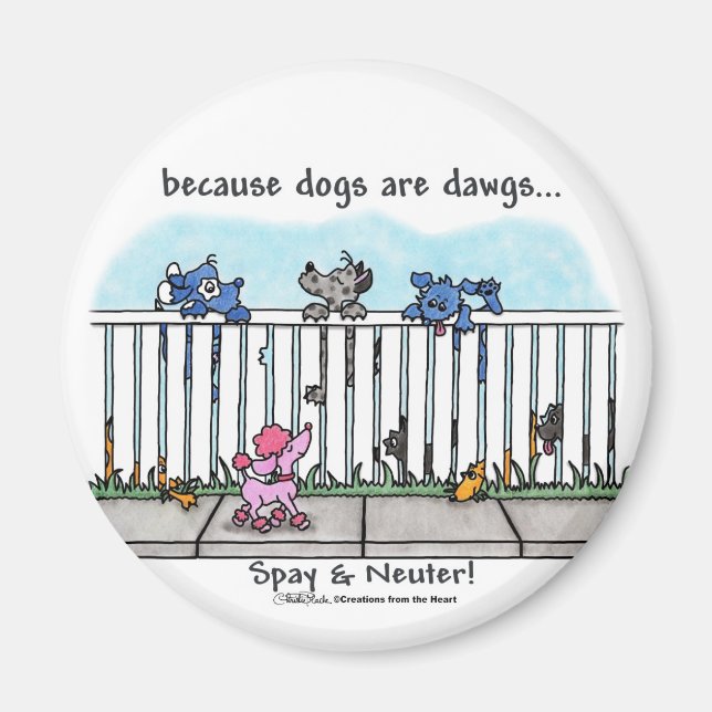 Imán Porque los perros son Dawgs (Frente)