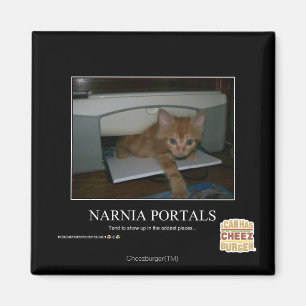 Imán Portales de Narnia