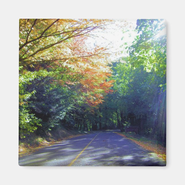 Imán Portland, Oregon Road hasta el jardín Rosa (Frente)